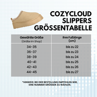 HikeHub - CozyCloud Slippers