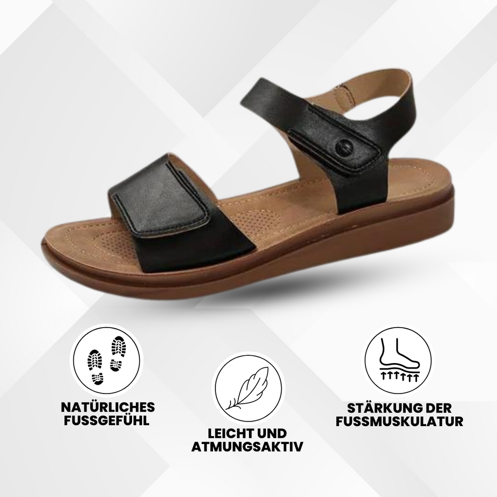 HikeHub - OrthoShine