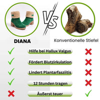 HikeHub - DIANA