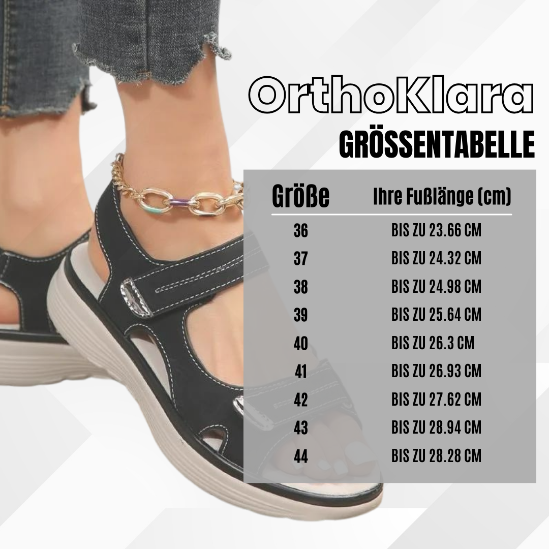 HikeHub - OrthoKlara