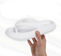 HikeHub - Flip Flops