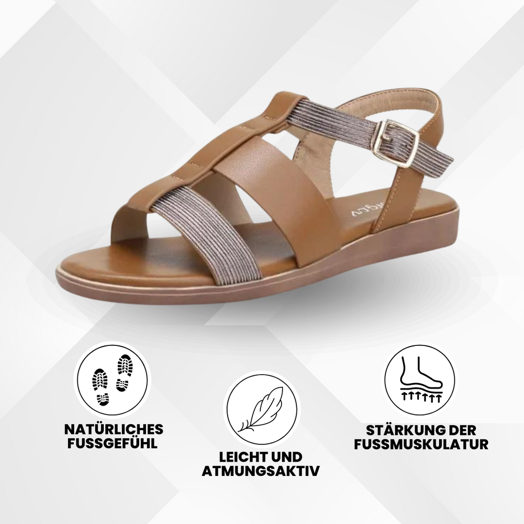 HikeHub - OrthoSun Pro