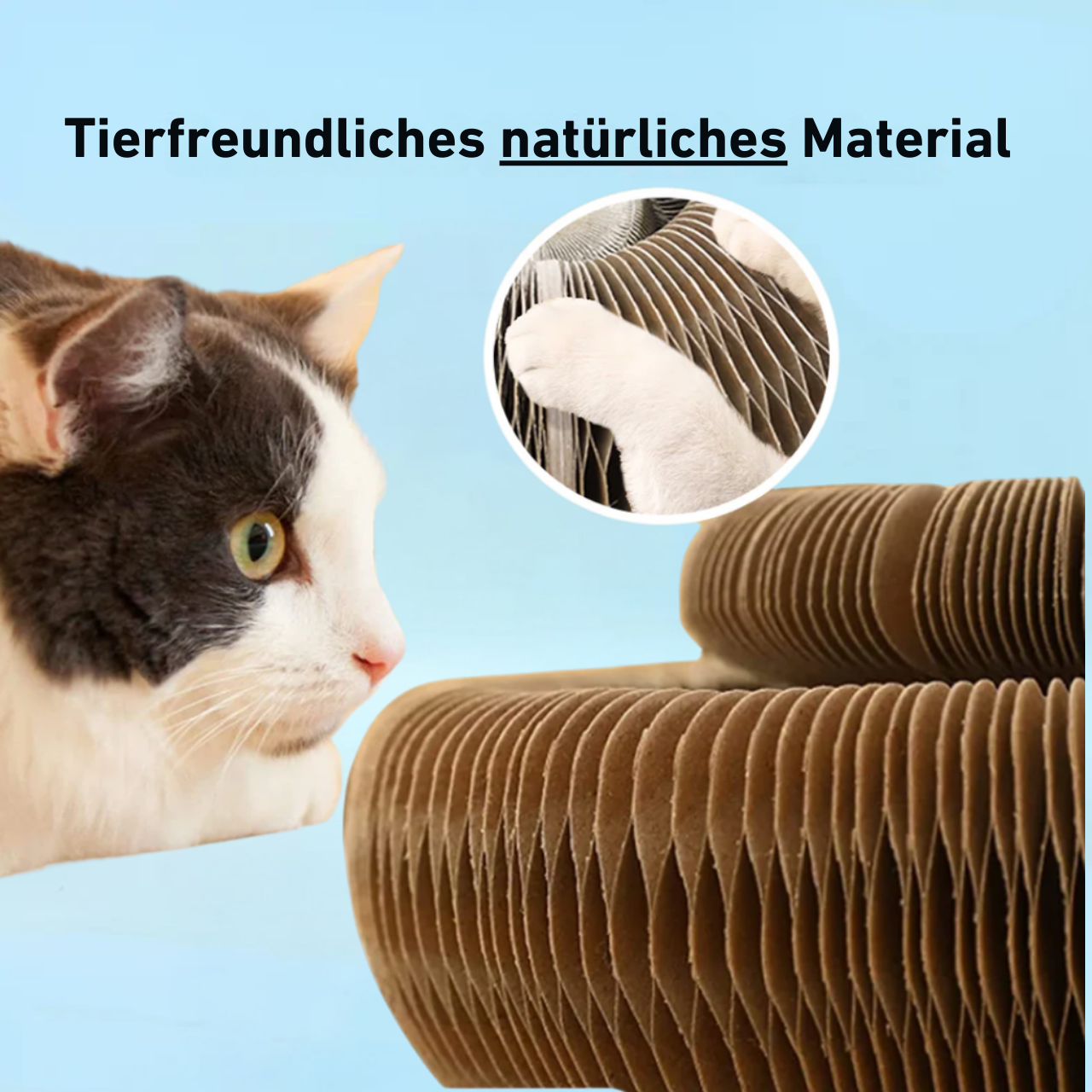 PouncePlay™ - Krabbenspiel mit Glocke