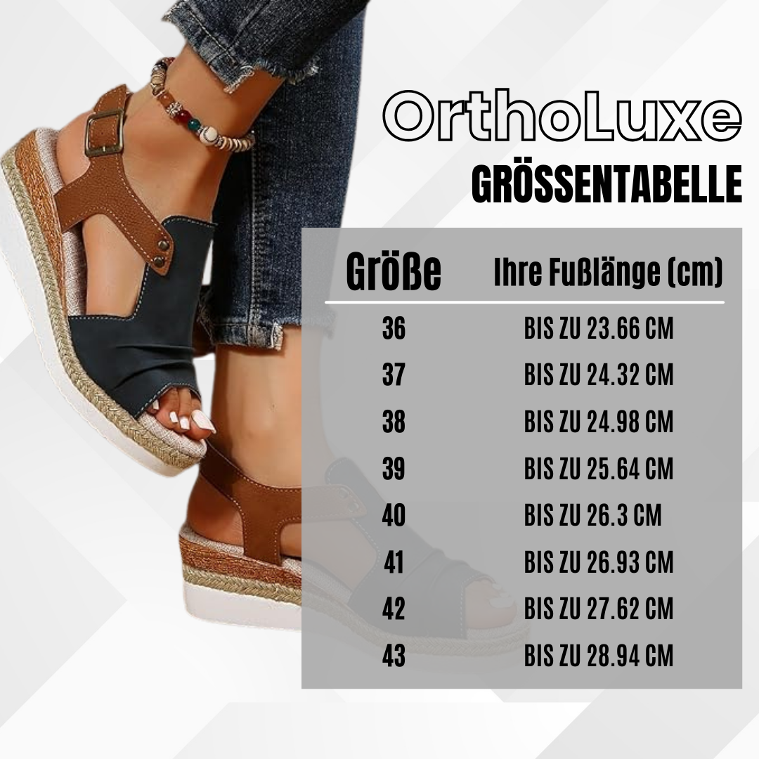 HikeHub - OrthoLuxe