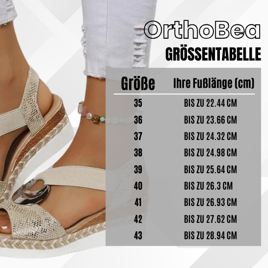 HikeHub - OrthoBea