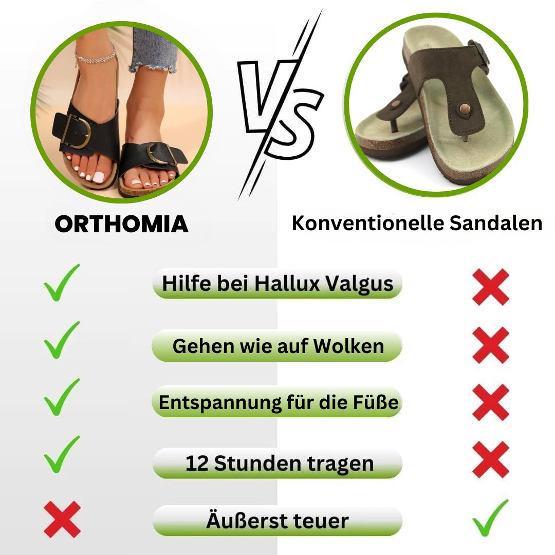 HikeHub - OrthoMia