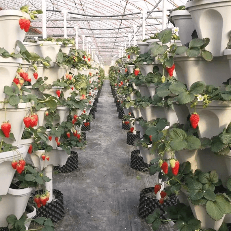 SkyGrow™ — Transformeer kleine ruimtes in weelderige, moeiteloze tuinen