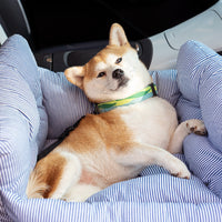 Hunde Auto Bett