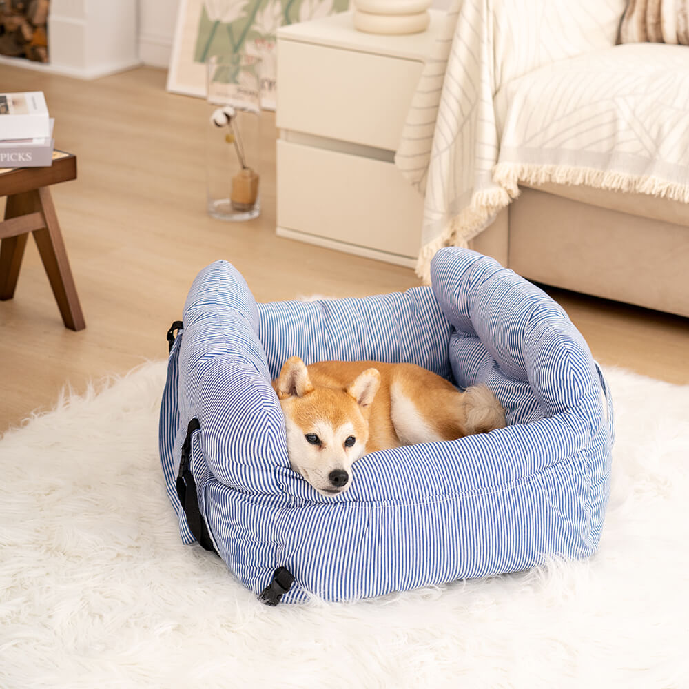 Hunde Auto Bett