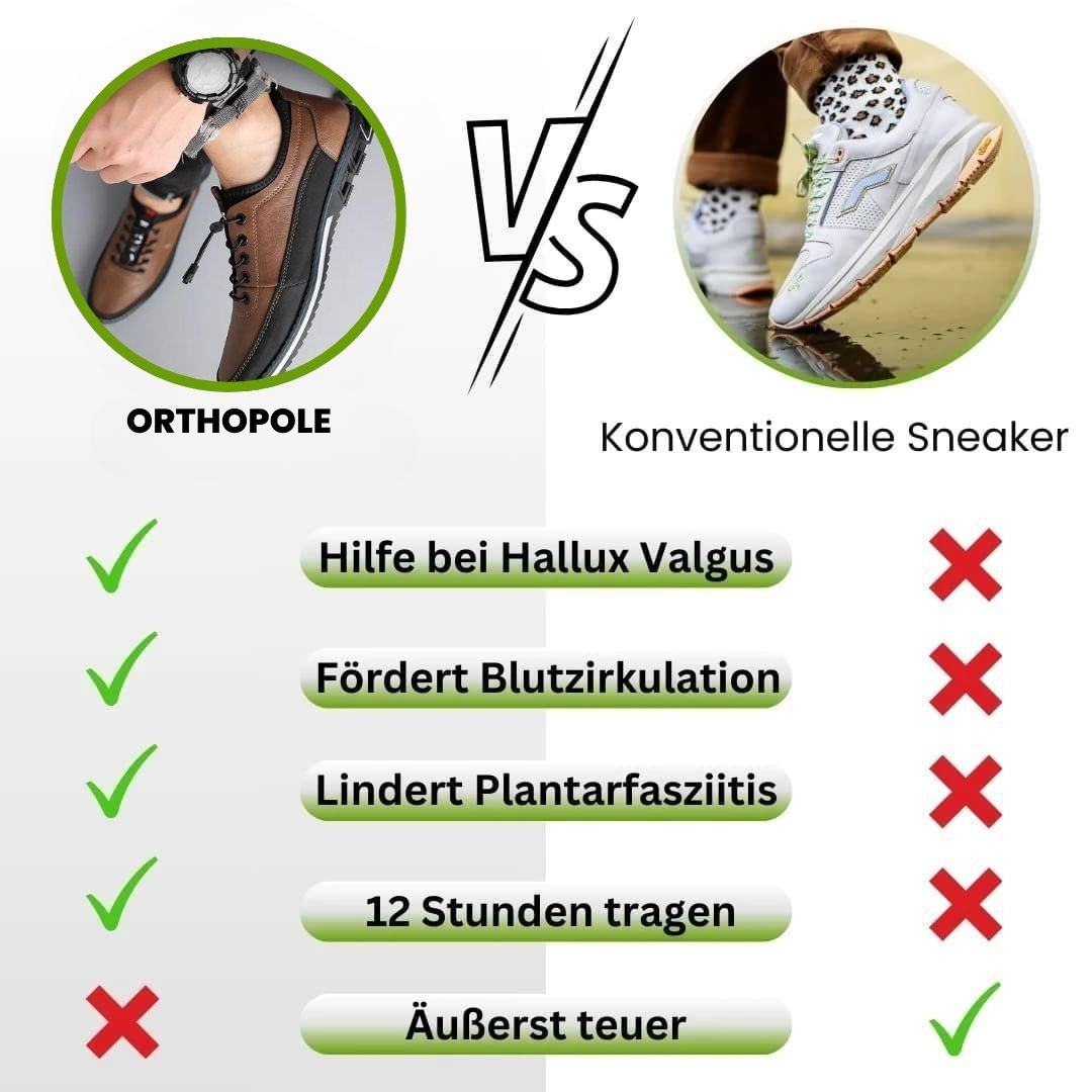 HikeHub - OrthoPole (2025)