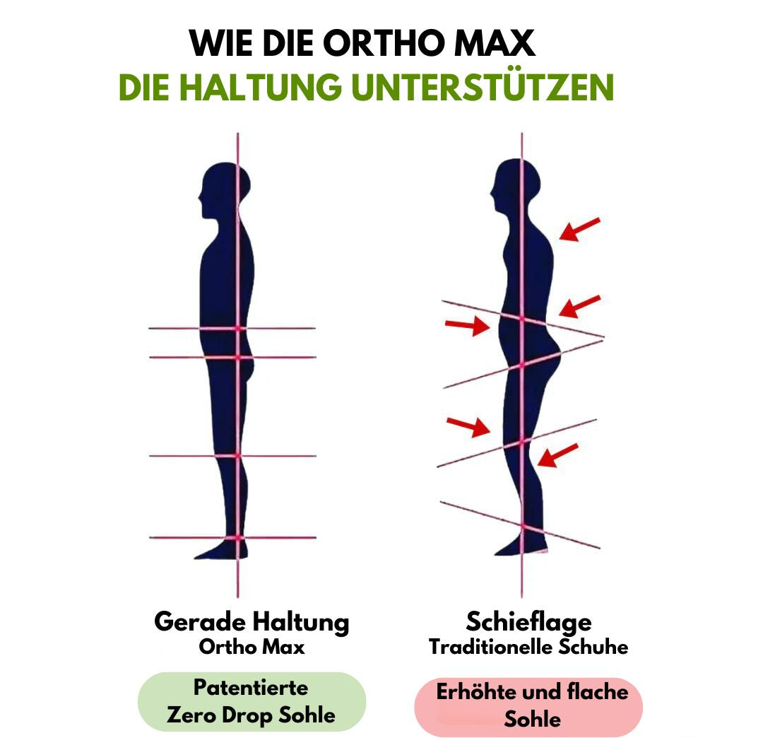 HikeHub - OrthoMax