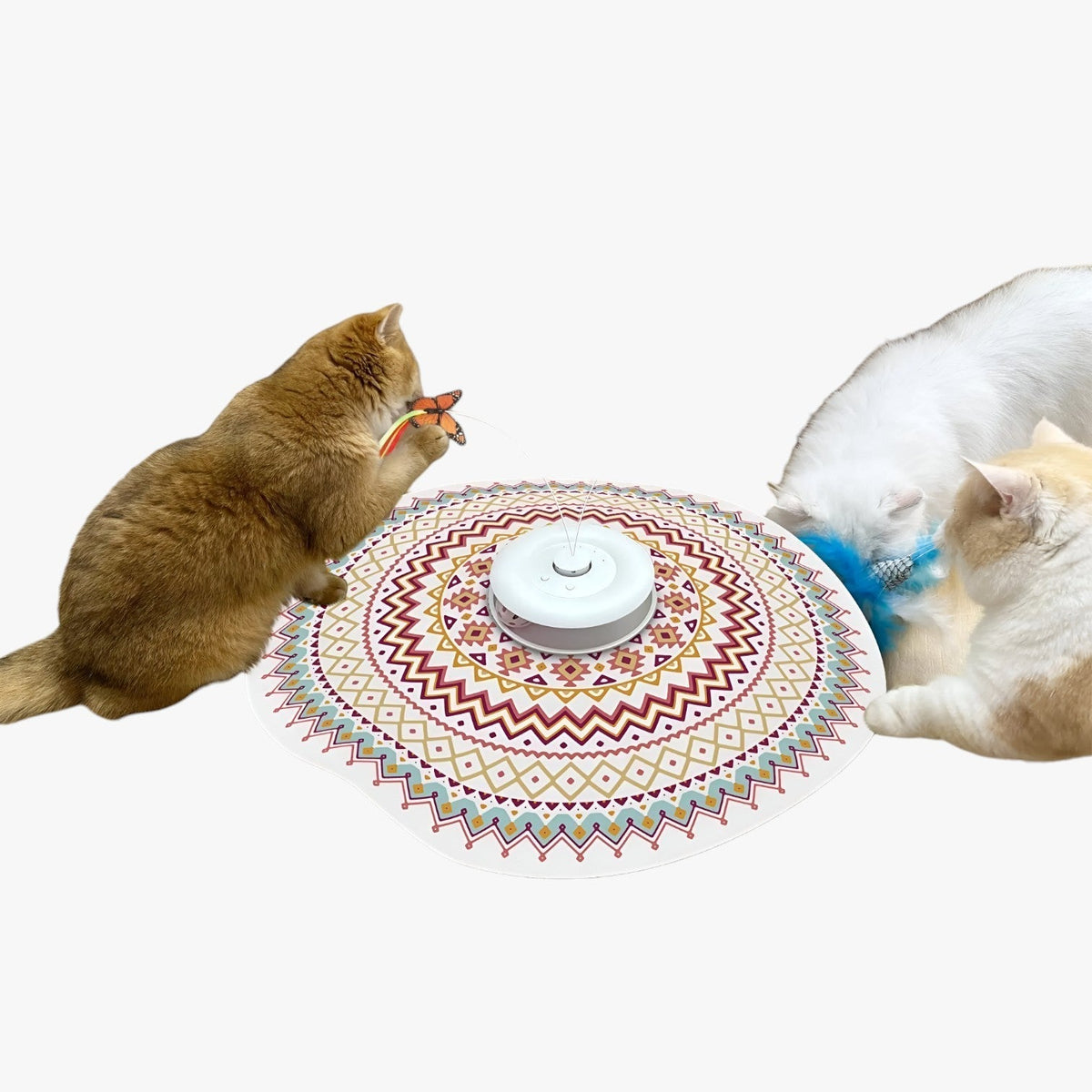 Jacob | Interaktives 4-in-1 Spiel für Katzen, wiederaufladbar, mit Schmetterling und Federn zum Jagen