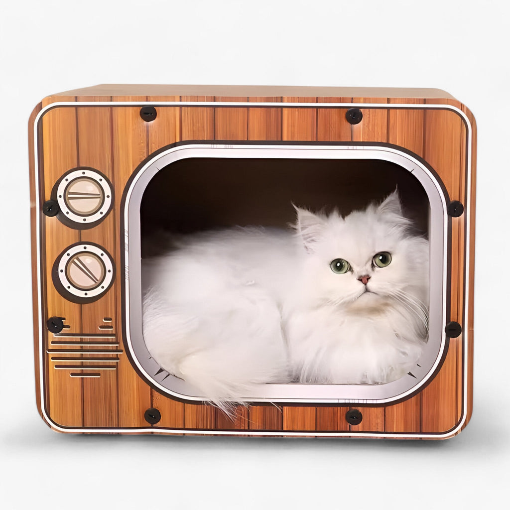 Nova | Kreativer Kratzbaum für Fernseher