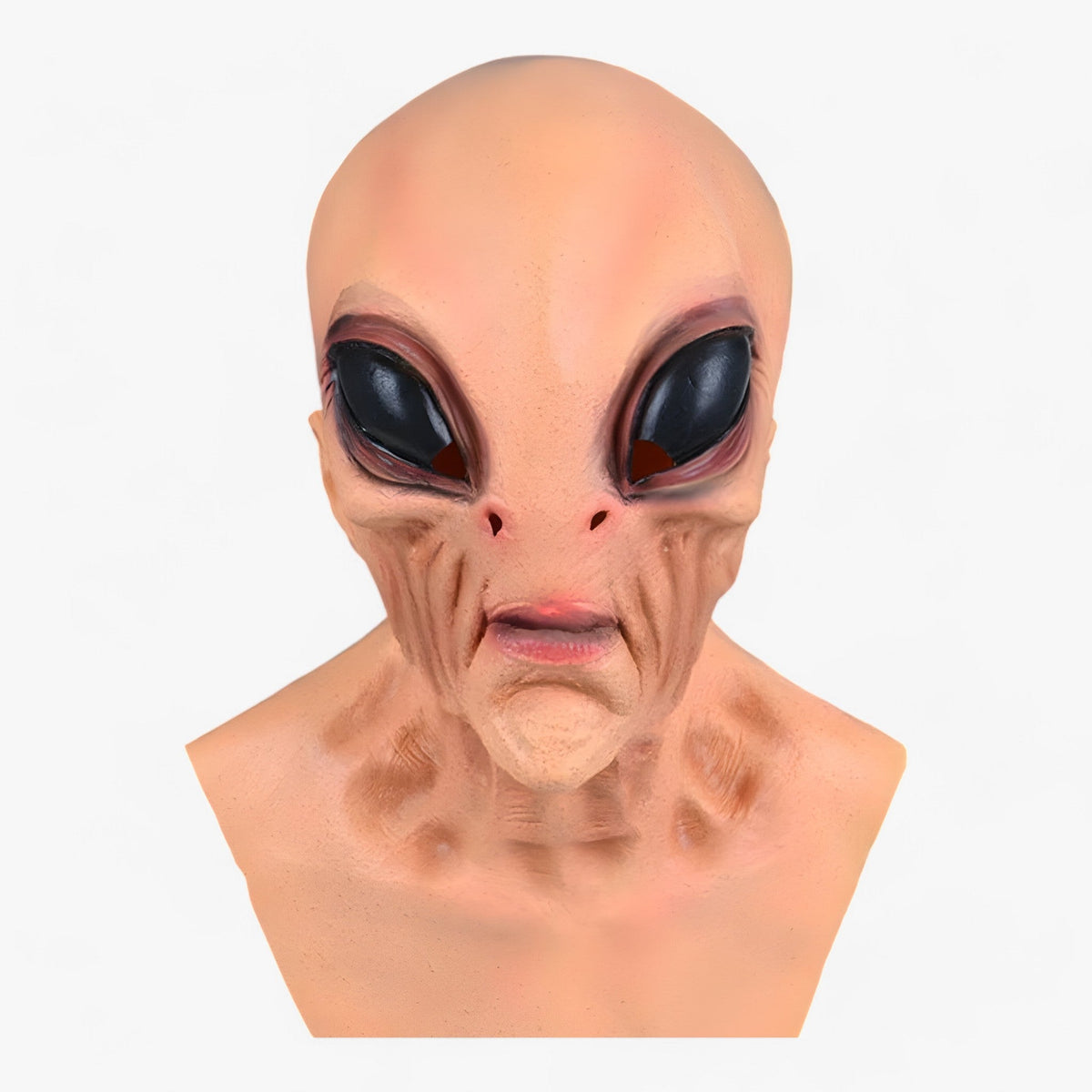 Victor | Latex-Kopf-Skelettmaske Halloween - Skelett-Effekt für Kostüm und Dekoration