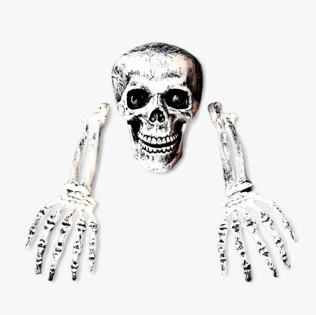Gruselige Halloween-Dekoration - Skelett, Knochen und menschlicher Schädel für schaurige Feste