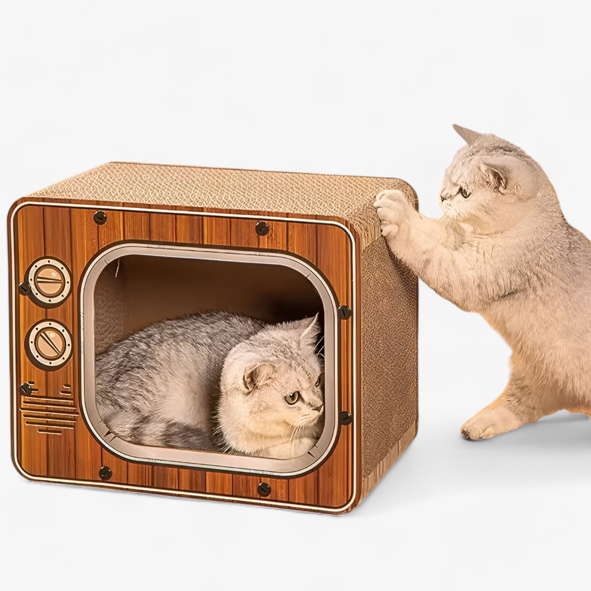 Nova | Kreativer Kratzbaum für Fernseher