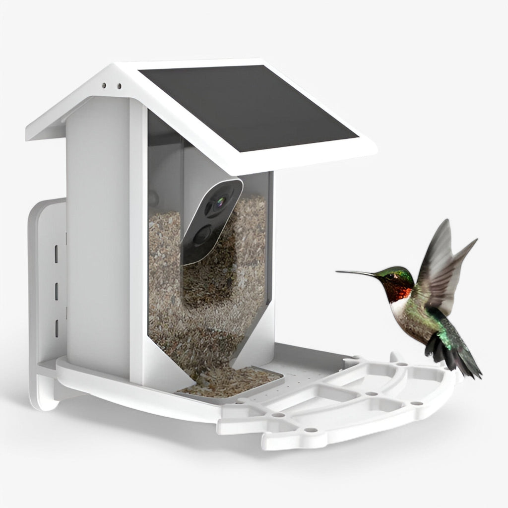 Auxco | Intelligenter Vogelbr feeder