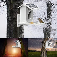 Auxco | Intelligenter Vogelbr feeder
