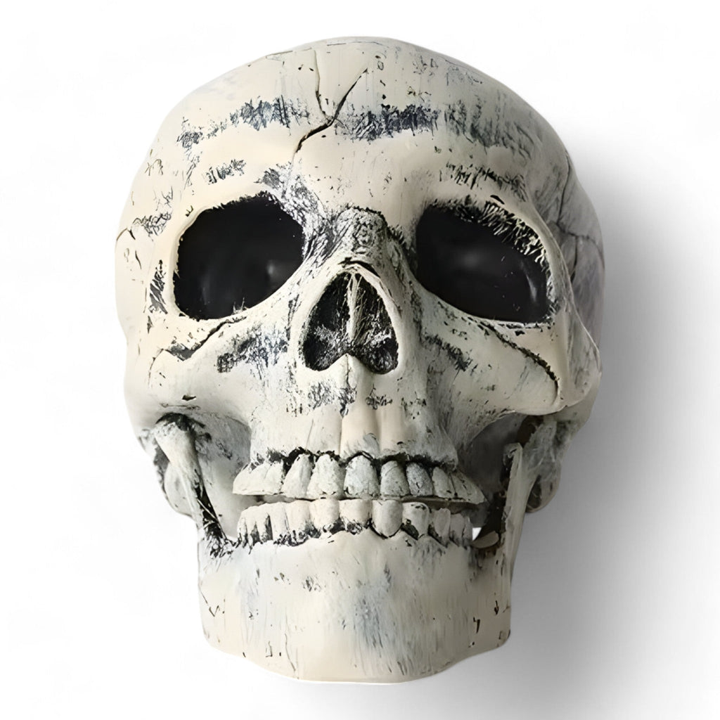 Gespenstische Halloween-Dekoration - Plastik-Skelett und Schädelornamente
