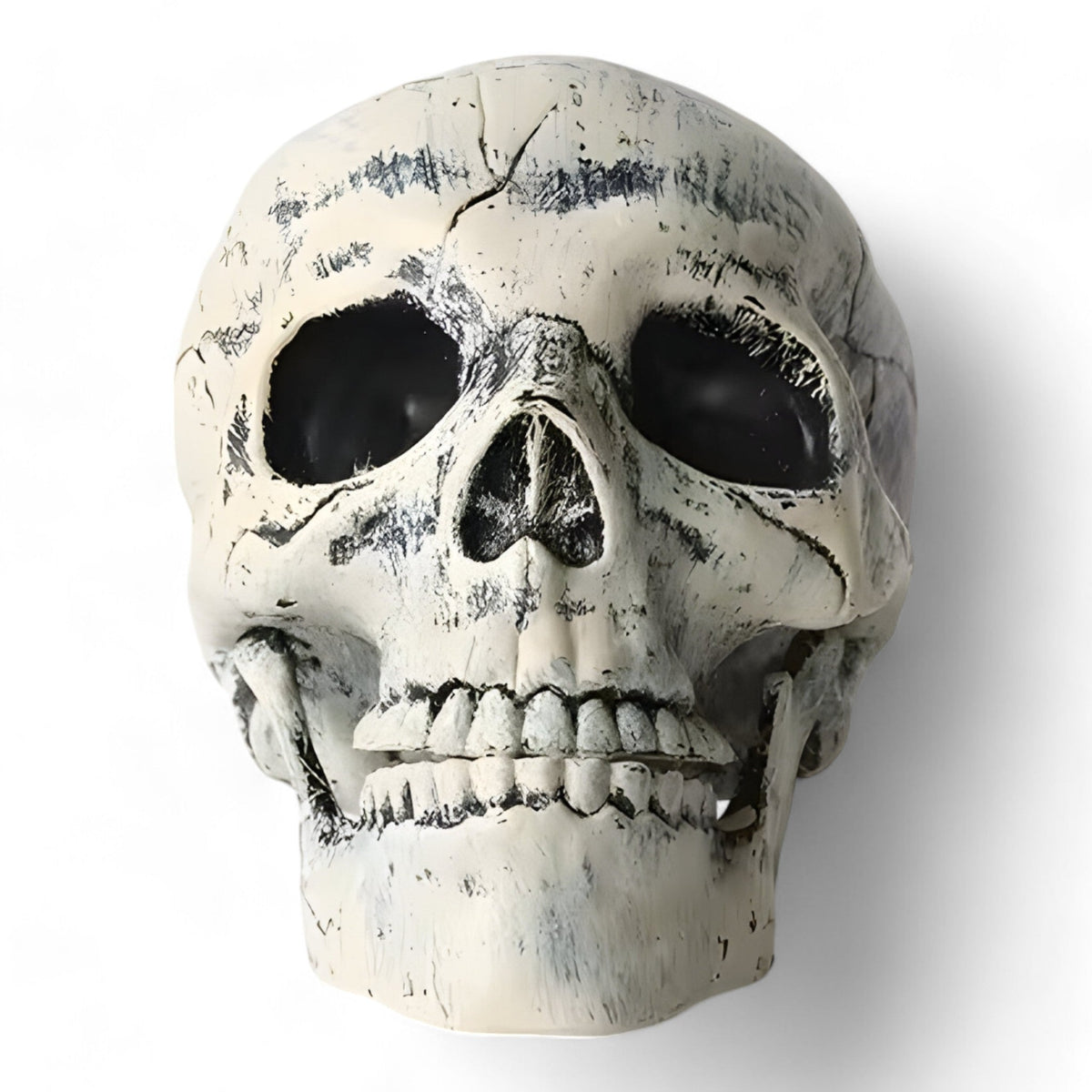 Gespenstische Halloween-Dekoration - Plastik-Skelett und Schädelornamente