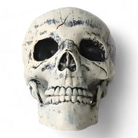 Gespenstische Halloween-Dekoration - Plastik-Skelett und Schädelornamente