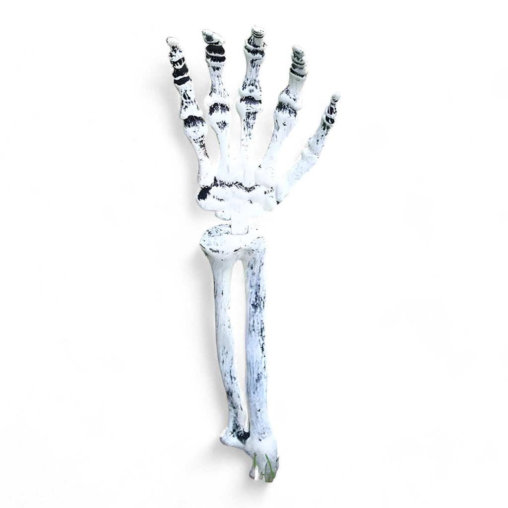 Gespenstische Halloween-Dekoration - Plastik-Skelett und Schädelornamente