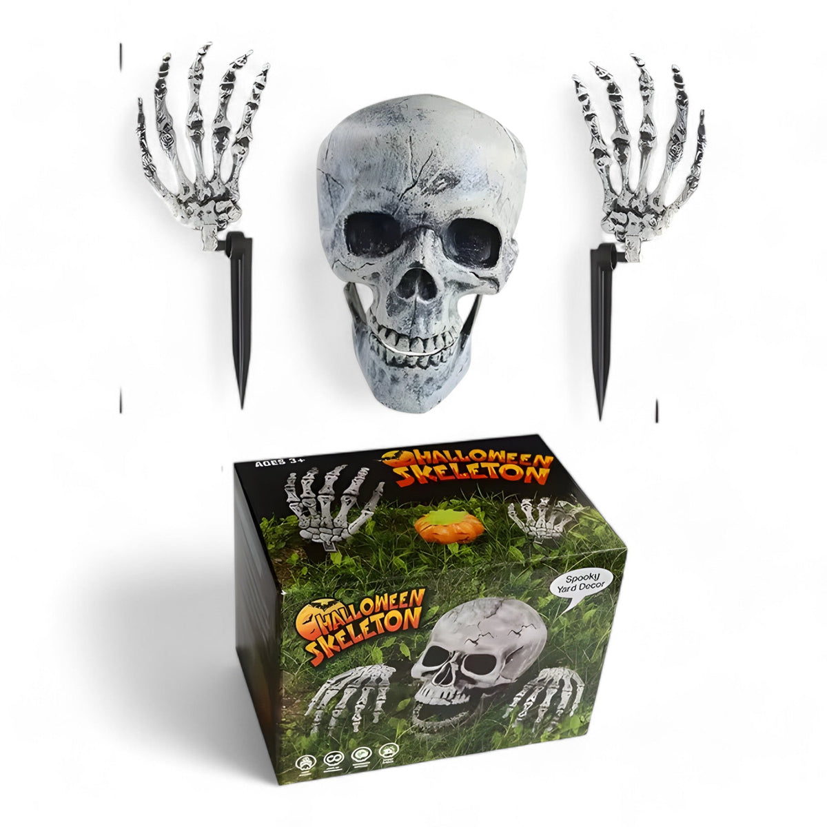 Gespenstische Halloween-Dekoration - Plastik-Skelett und Schädelornamente