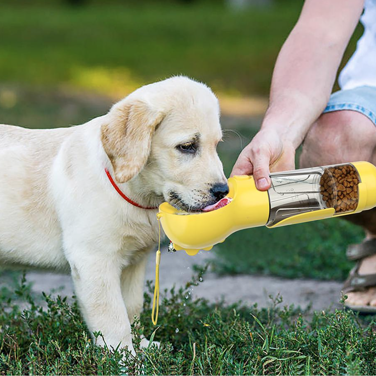 DogViva™ — Immer und überall ein frischer Schluck für Ihren treuen Freund.