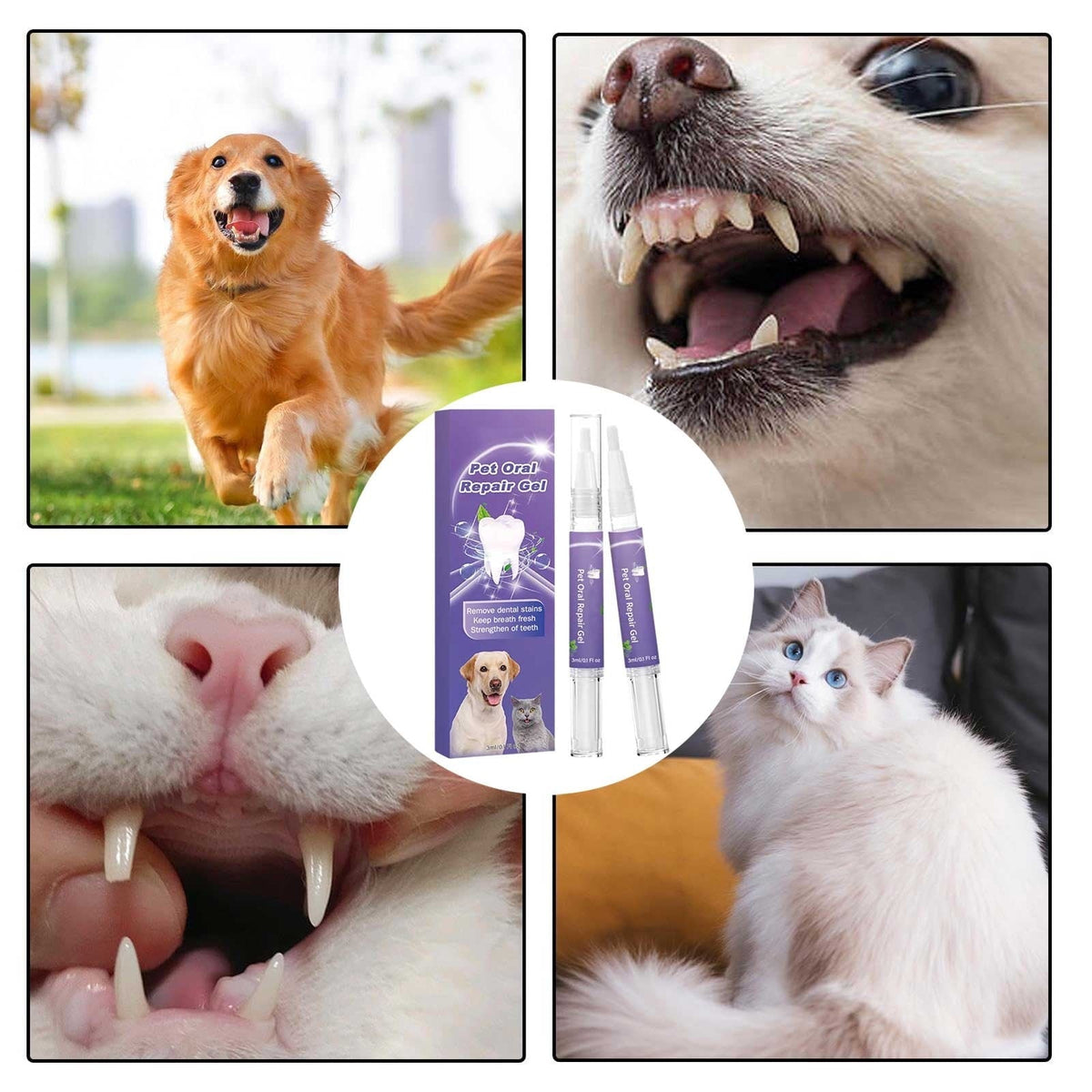 Dental Gel™ - Für ein strahlendes Hundelächeln