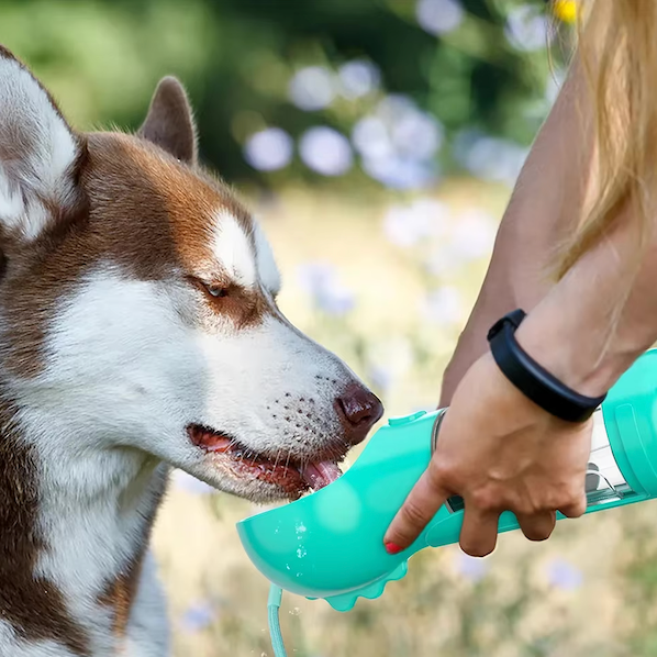 DogViva™ — Immer und überall ein frischer Schluck für Ihren treuen Freund.