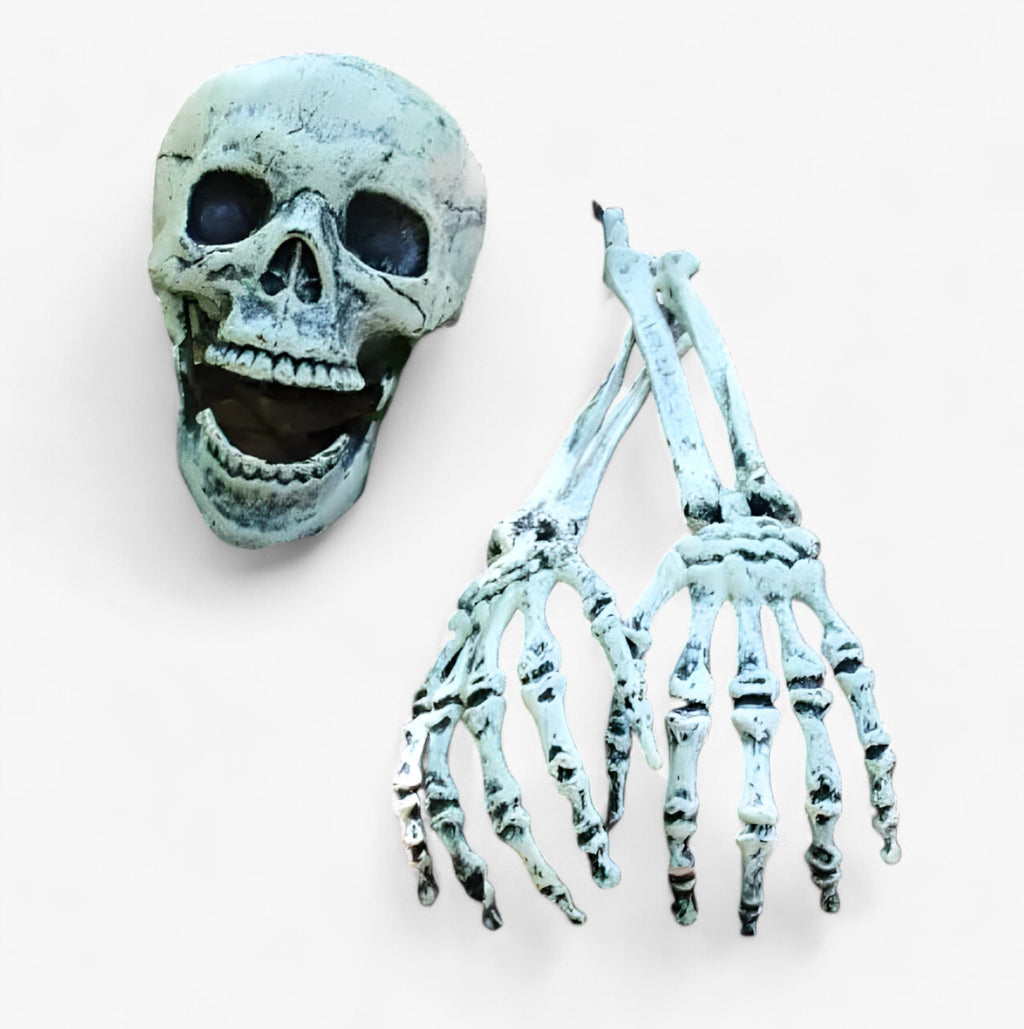 Gruselige Halloween-Dekoration - Skelett, Knochen und menschlicher Schädel für schaurige Feste