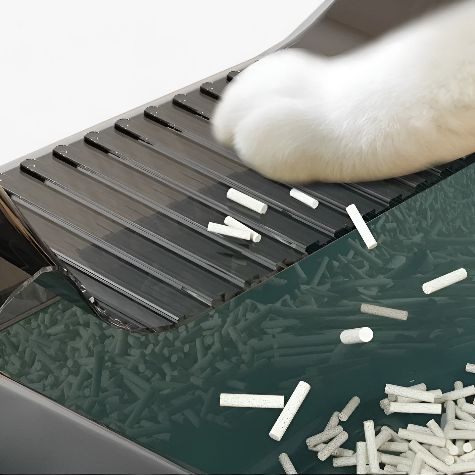 Halb-Offene Katzentoilette - Modernes Design für Leichten Zugang und Sauberkeit