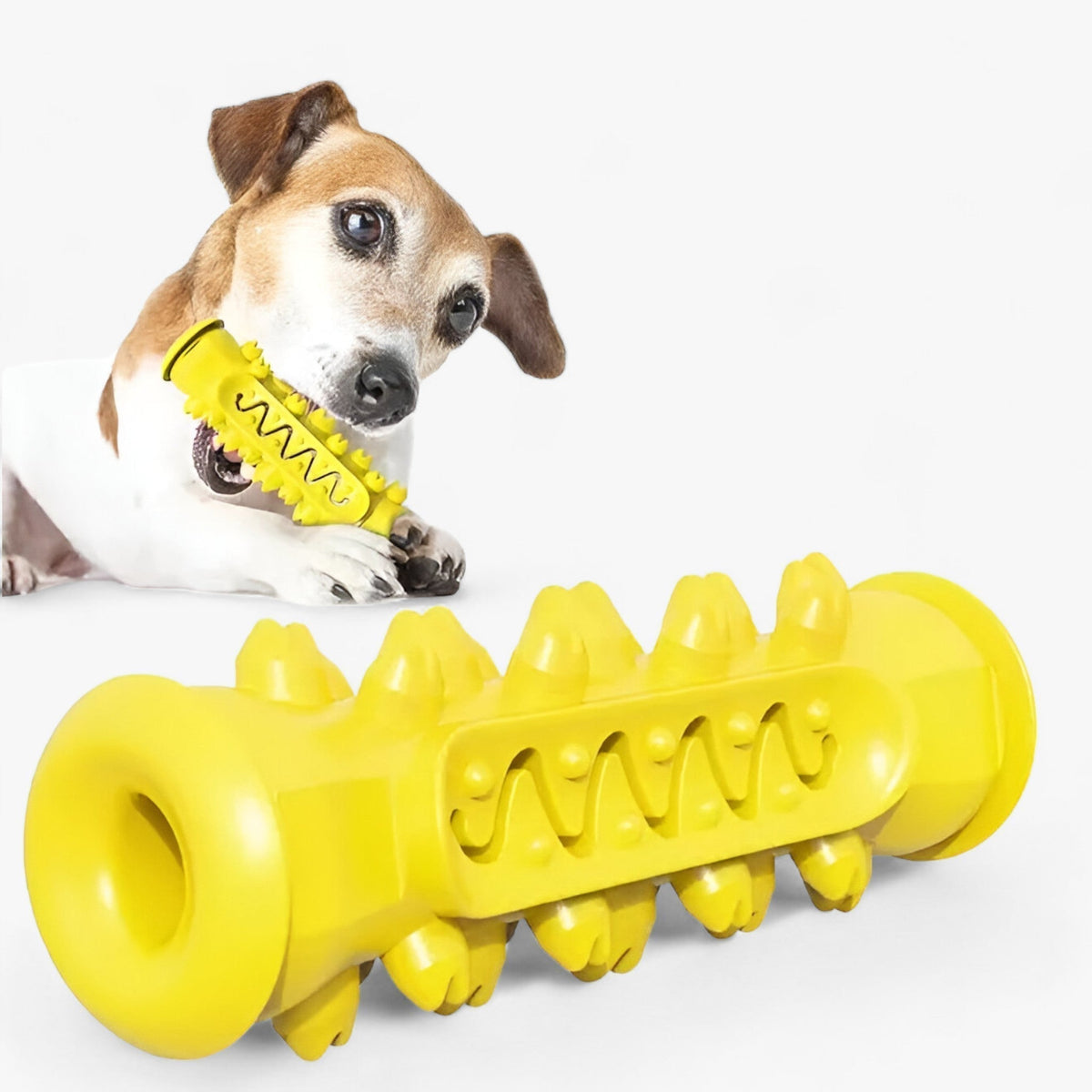 Kauspielzeug aus Gummi - Reinigt die Zähne und unterhält Hunde