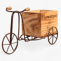 PedalBlüte | Retro-Blumentopf - Verspielte Sukkulentenausstellung