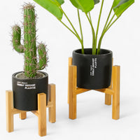 Bonsai-Glück | Holzpflanzgestell - Dauerhafte Eleganz