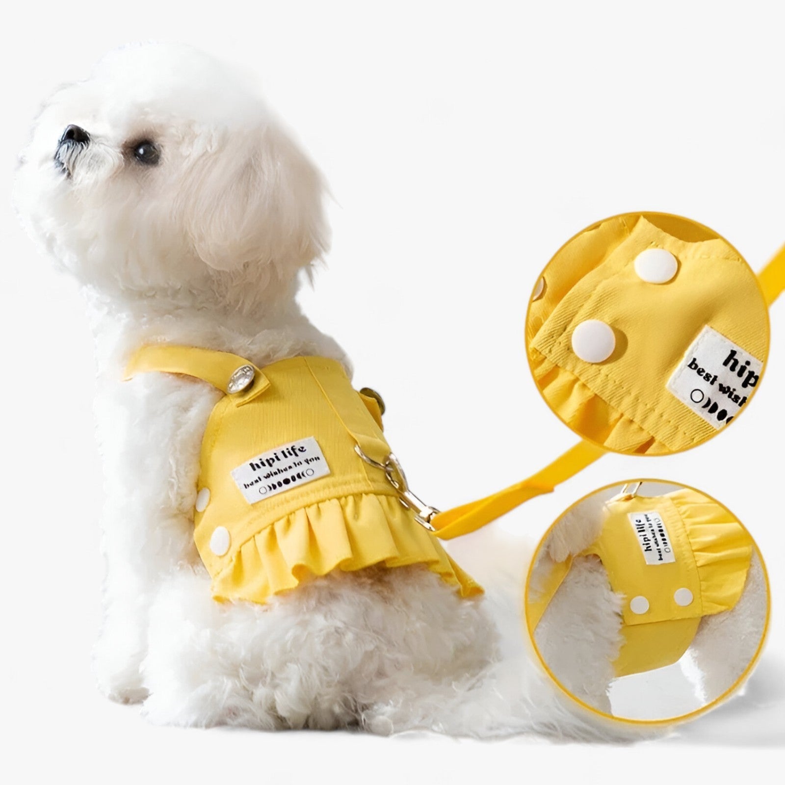Doggie | Halsband-Geschirr-Weste - Stilvoll und Komfortabel für Jeden Hundespaziergang
