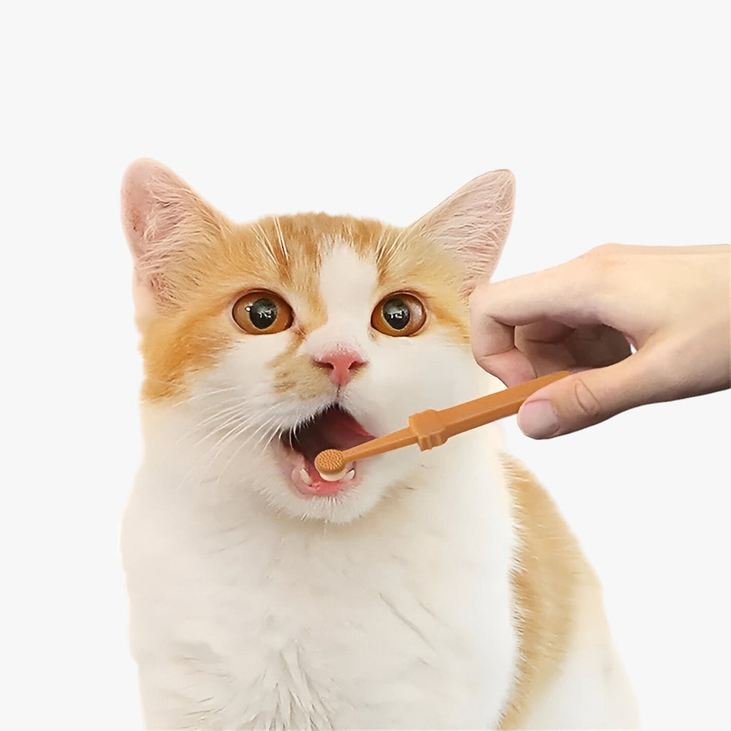 Reinigungsbürste für Hunde und Katzen - Kunststoffbürste mit Sanftem Silikonreinigungsschaber