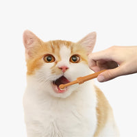 Reinigungsbürste für Hunde und Katzen - Kunststoffbürste mit Sanftem Silikonreinigungsschaber