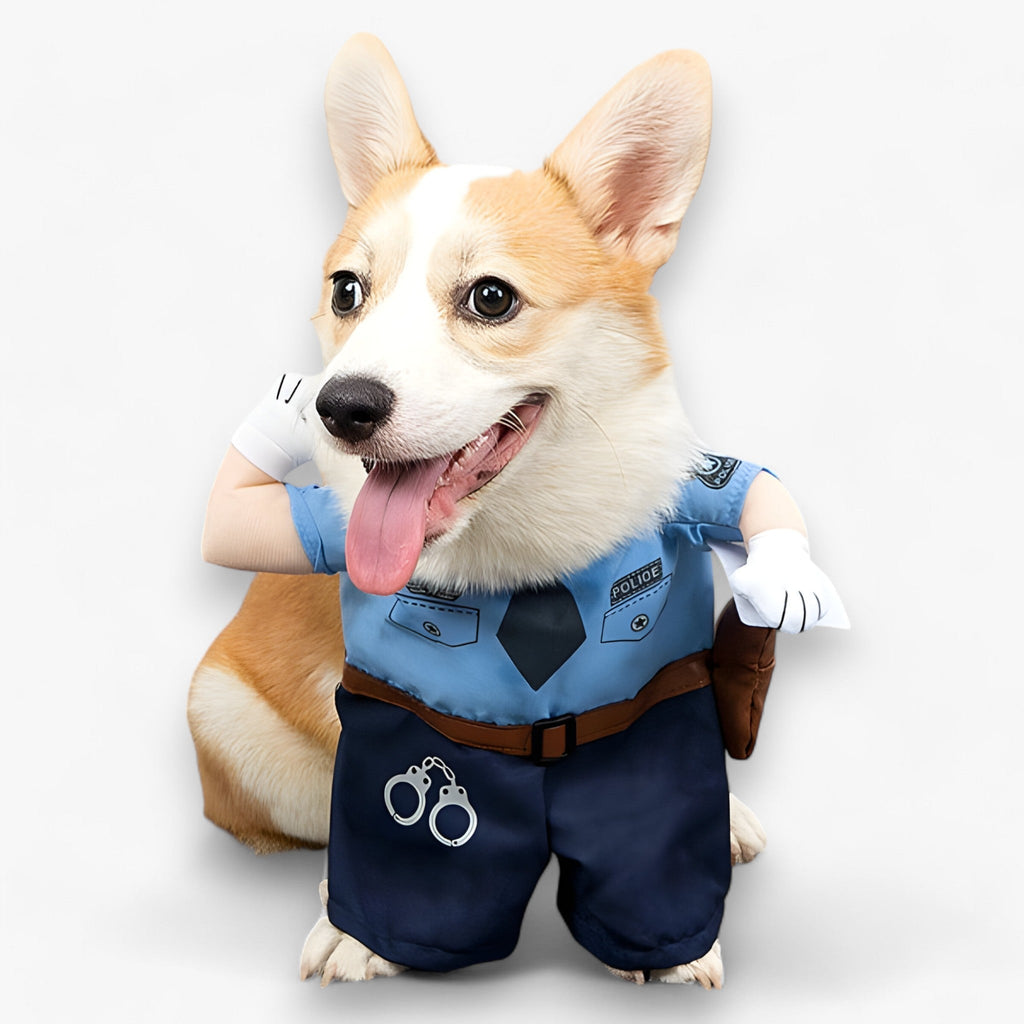 Paw-some | Kostüm für Haustiere - Cosplay-Kostüm für Haustiere