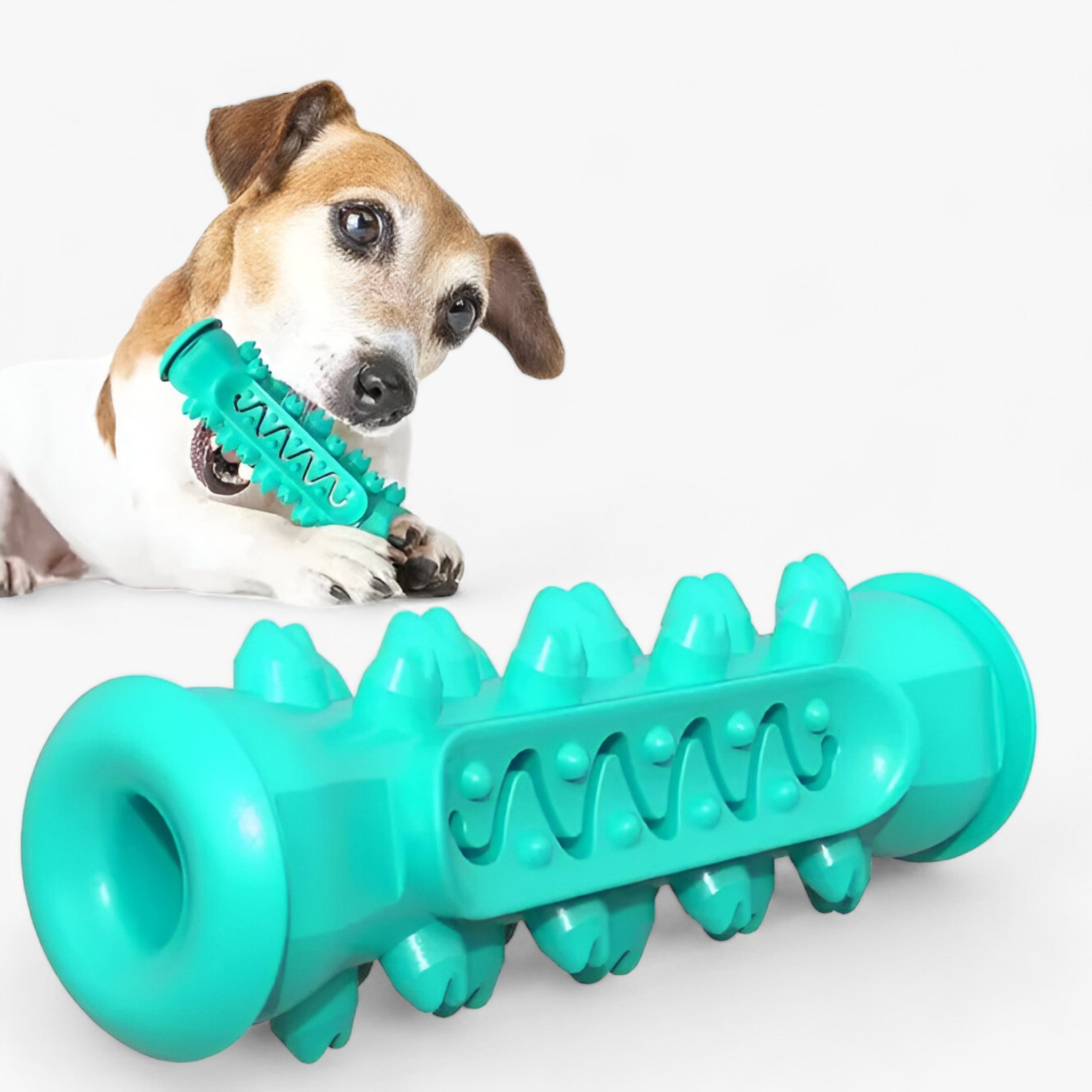 Kauspielzeug aus Gummi - Reinigt die Zähne und unterhält Hunde