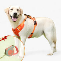 Buddy | Hunde-Anti-Zug-Geschirr - Verbesserte Kontrolle